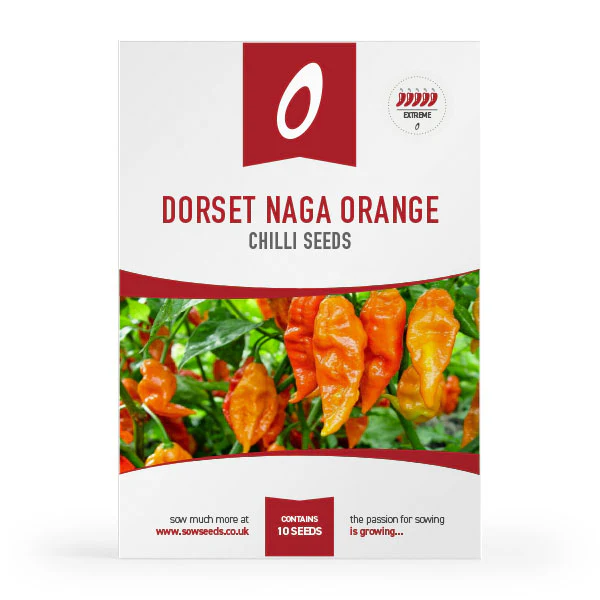 Chilli Seeds Spring Sale